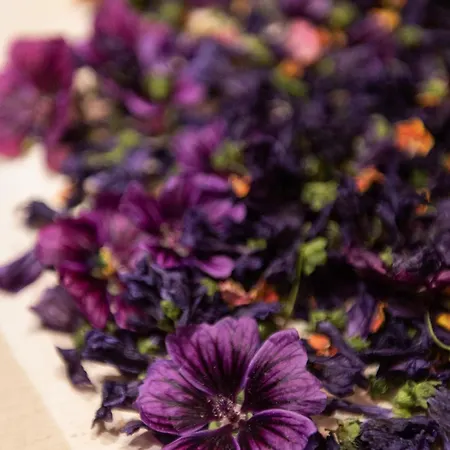 Spa-hotel Schäfer Hotel