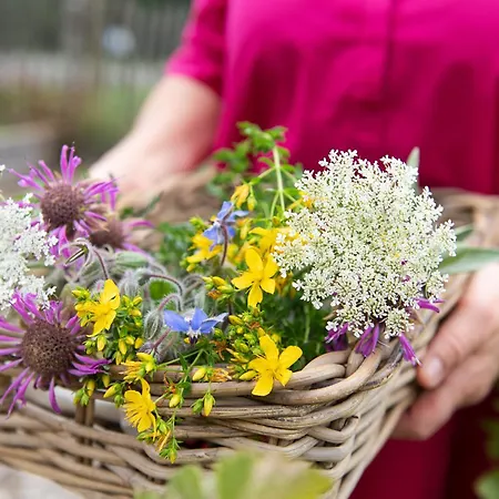 Hotel Spa-hotel Schäfer 4*