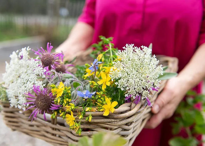 Szálloda Kraeuter & Spa-hotel Schaefer - Adults Only 4*